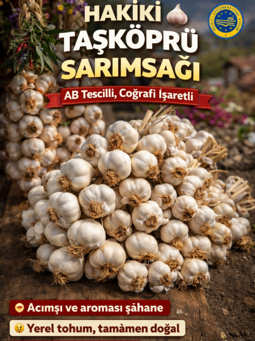 Hakiki TaşKöprü Sarımsak İri Yarım Kg
