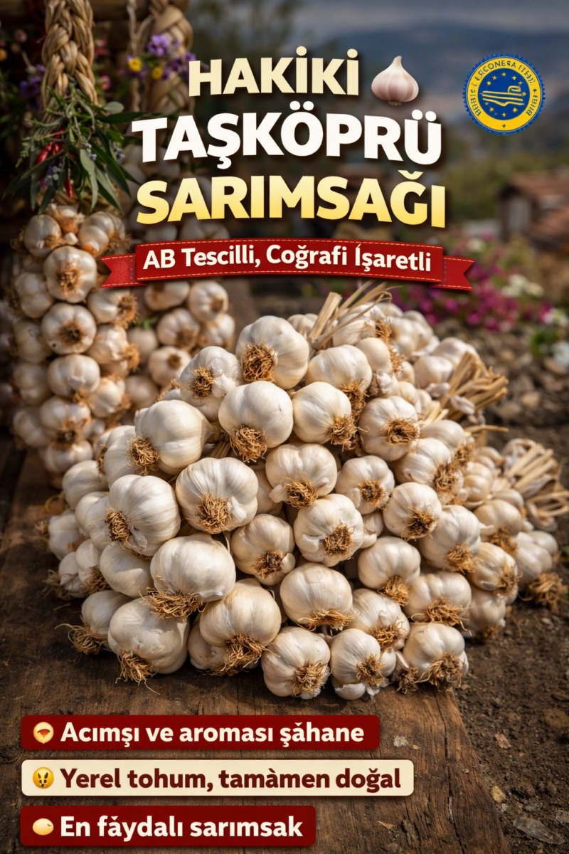 66b0460e-6e4e-4848-a917-5c15ad041db0-2 Hakiki TaşKöprü Sarımsak İri Yarım Kg