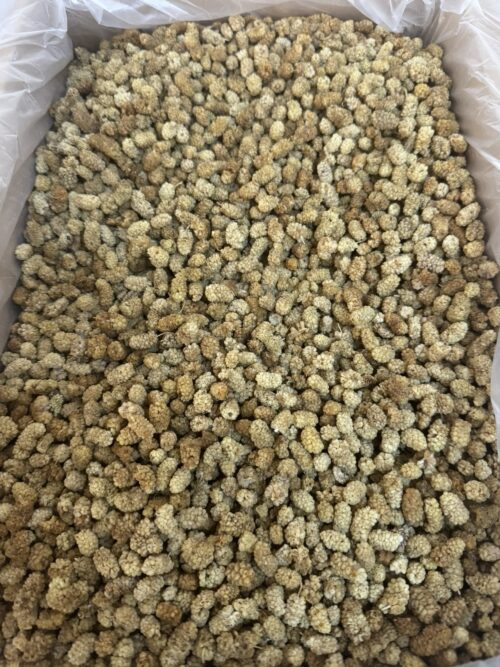 Özel Seçim Dut Kurusu 500Gr