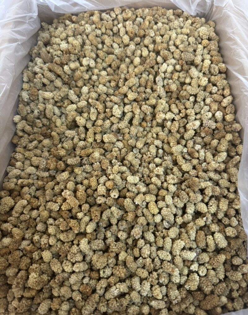 Özel Seçim Dut Kurusu 500Gr
