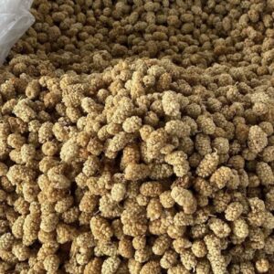 Özel Seçim Dut Kurusu 500Gr