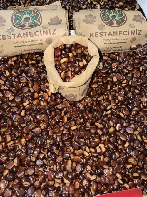 3 Kg Hakiki Erfelek Kuzu Kestane Orta Boy